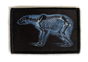 Bear Skeleton XRay  - Velcro Morale Patch